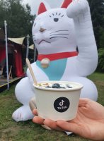 Jogurt Bar - stoisko TikTok na FEST Festival